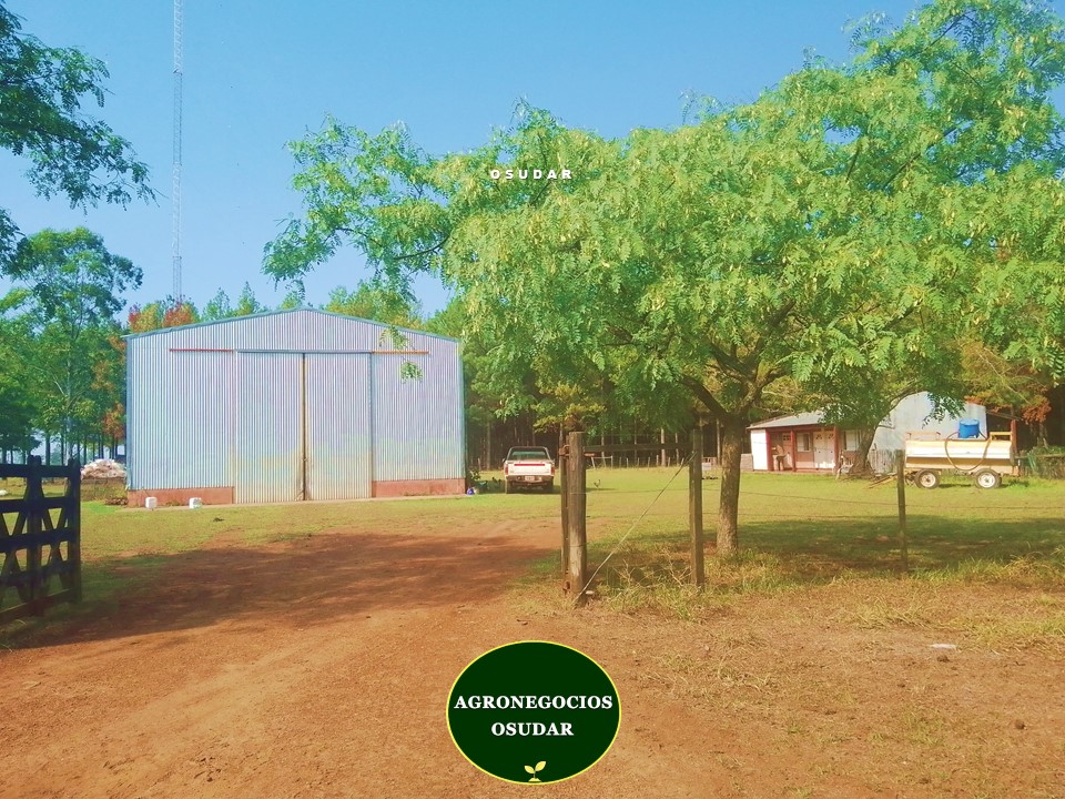 Diapositiva1