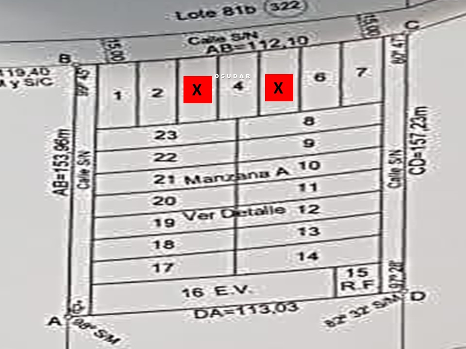 Diapositiva12