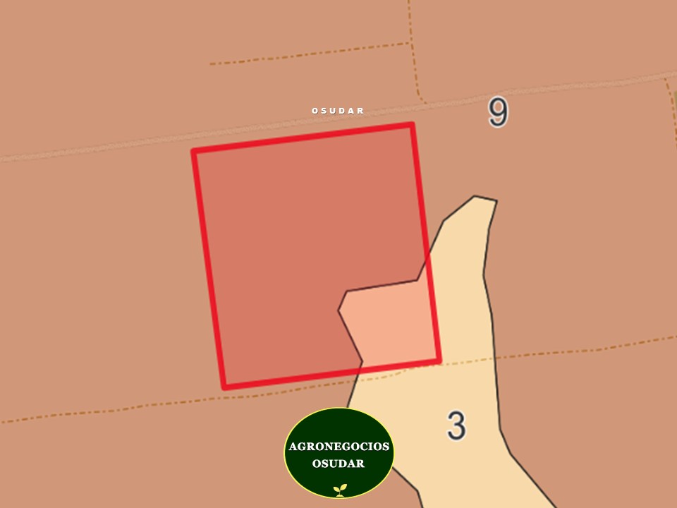 Diapositiva10